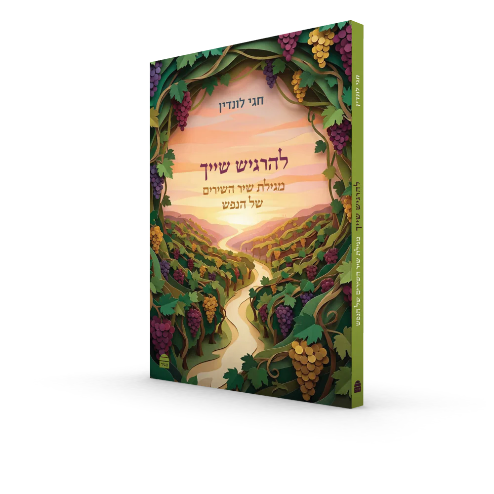תמונת מוצר 2