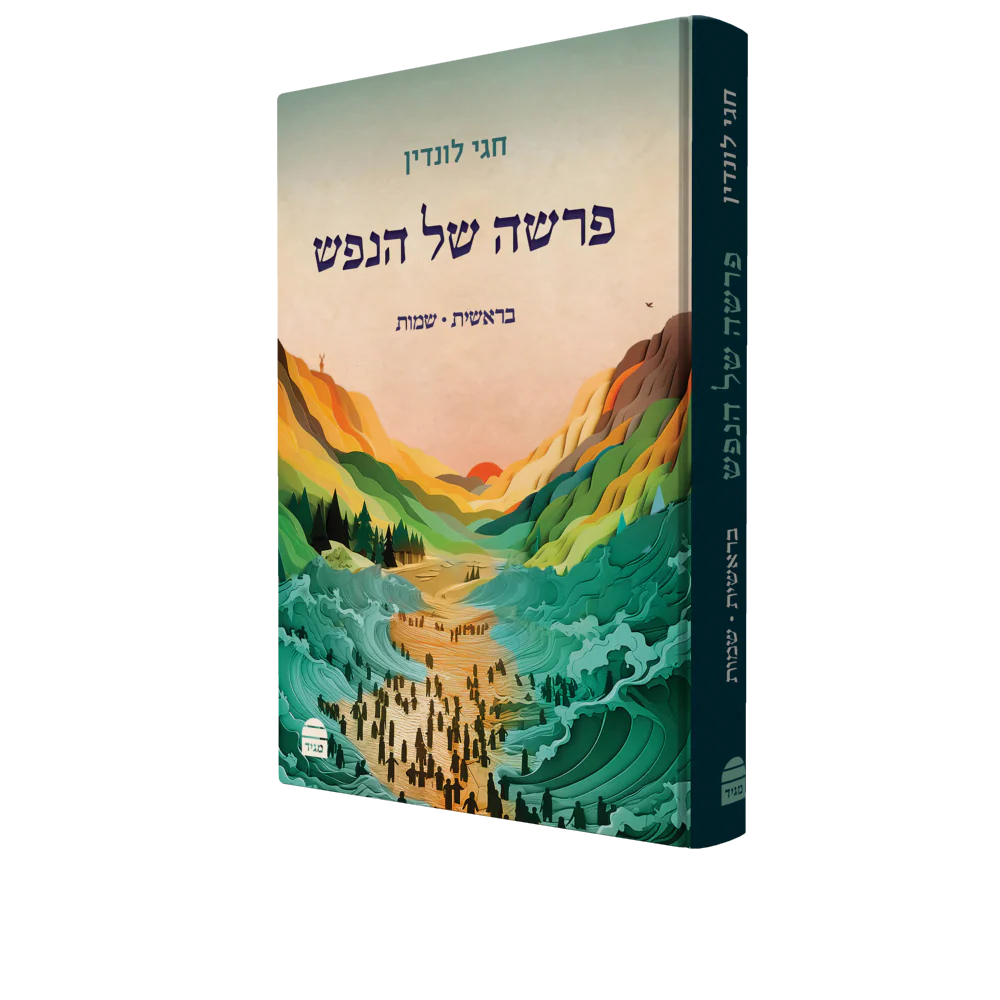 תמונת מוצר 2