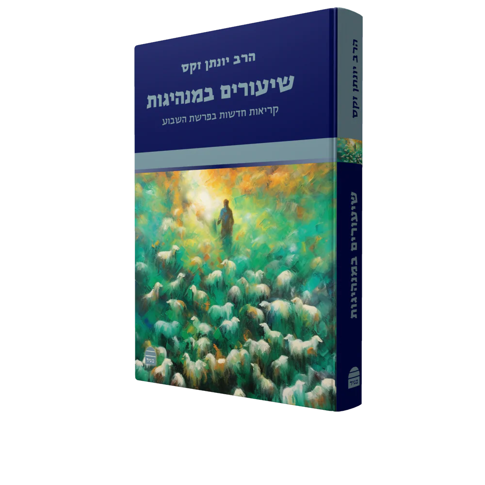 תמונת מוצר 2
